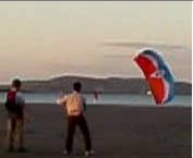 Paul Flying Bens Kite